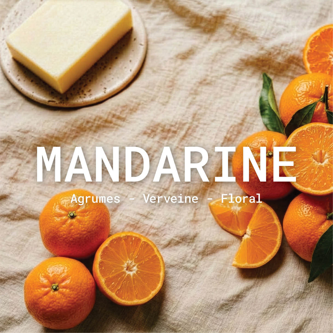 Parfum Mandarine | La Maison du Savon de Marseille